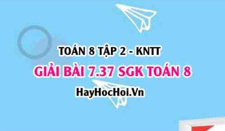 Bài 7.37 SGK Toán 8 Tập 2 Kết nối tri thức